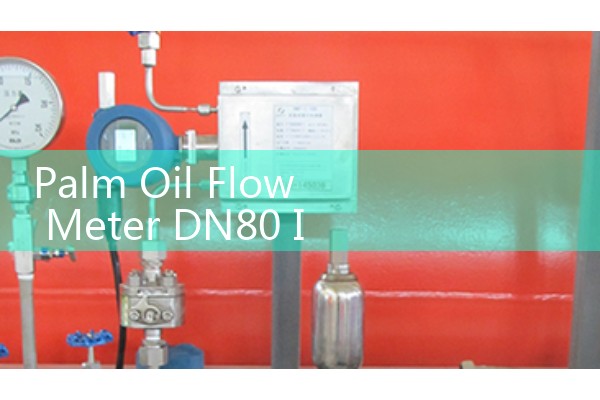 Palm Oil Flow Meter DN80 In-Line Blending Sizing Verification